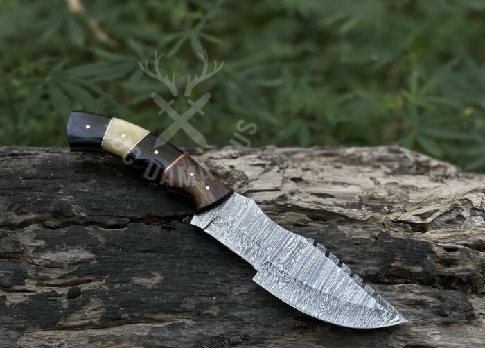 Damascus Steel Hunting Knife Camel bone Cow Horn & Rosewood Handle